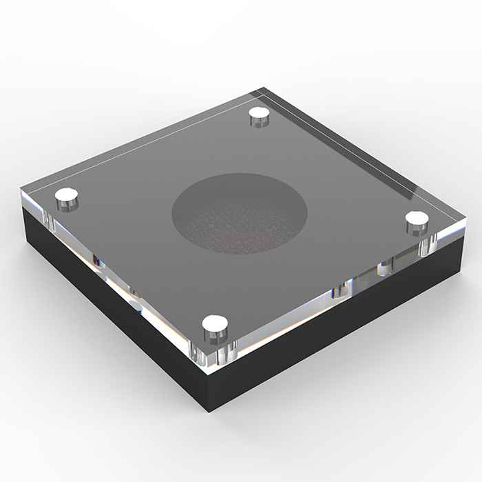 Single Coin Display Holder